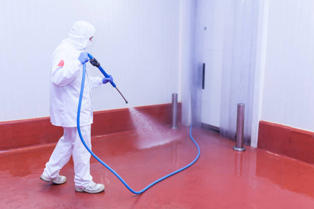 Best Sidewalk and Walkway Pressure Cleaning in Germantown, WI